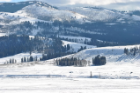 winter vista landscape. 