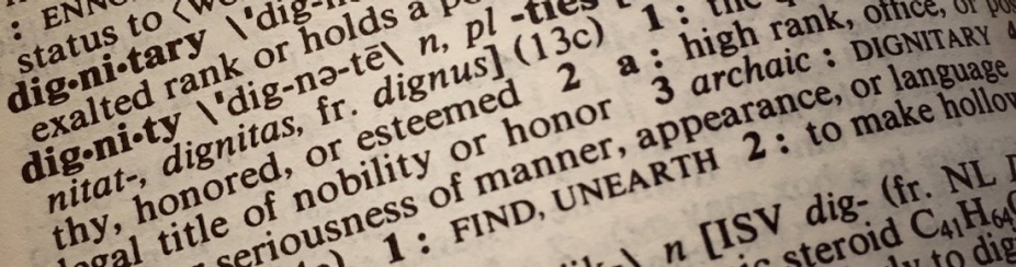 The definition of dignity in the dictionary. 