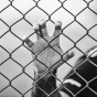 hand gripping chain link fence. 