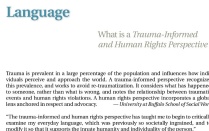 Zoom image: What are Trauma-Informed and Human Rights Perspectives? 
