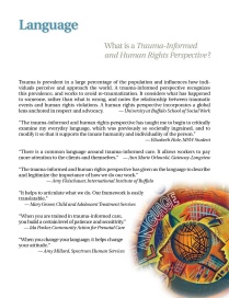 Zoom image: What are trauma-informed and human rights perspectives? 