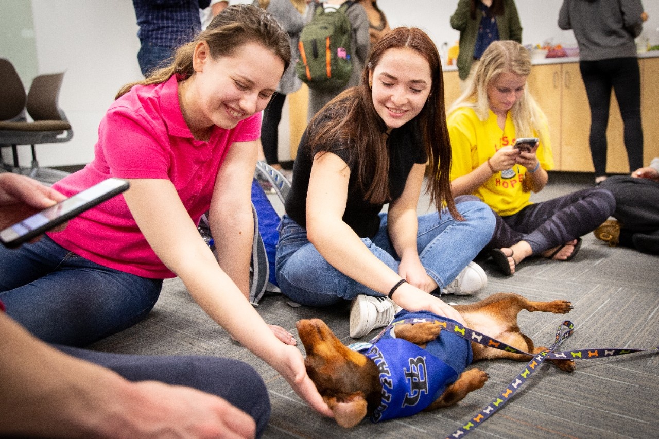 Exploring the Human-Animal Connection Through Social Work - University at  Buffalo