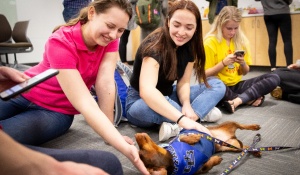 Zoom image: UB libraries host Stress Relief Days during the last week of classes each semester. 