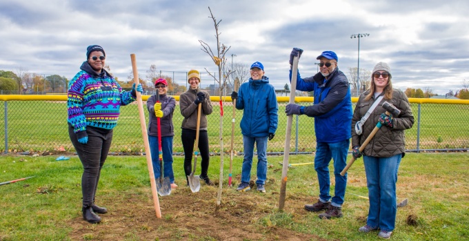 Six people planting trees in a park.