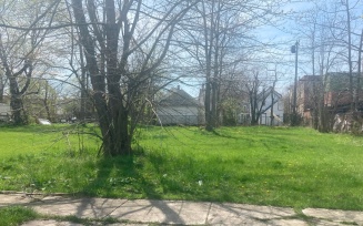 Zoom image: Vacant lots in East Buffalo