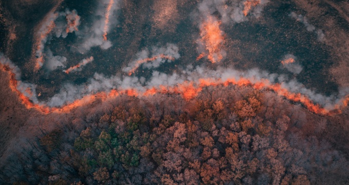 Wild fire in a forest, from above. 
