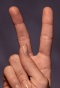 Two fingers in pledge sign. 