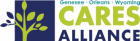 GOW Care Aliance Logo with a green green on a blue background. 