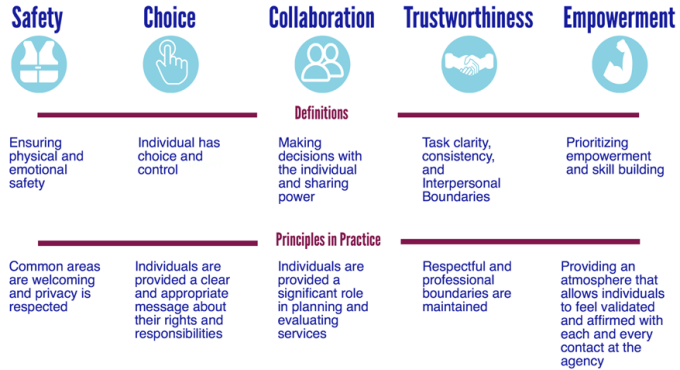 Zoom image: The Five Principles of Trauma-Informed Care
